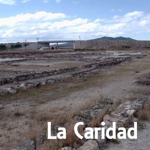 El Castillejo de la Caridad - Caminreal (TE)