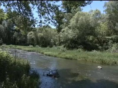 Bosques de Ribera del Bornova