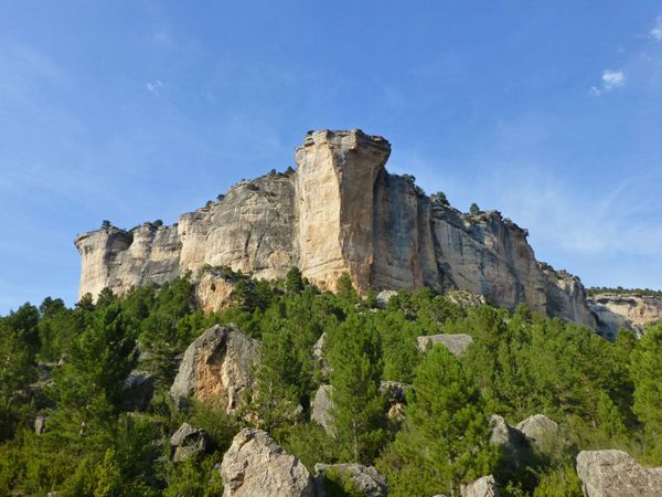 altotajo