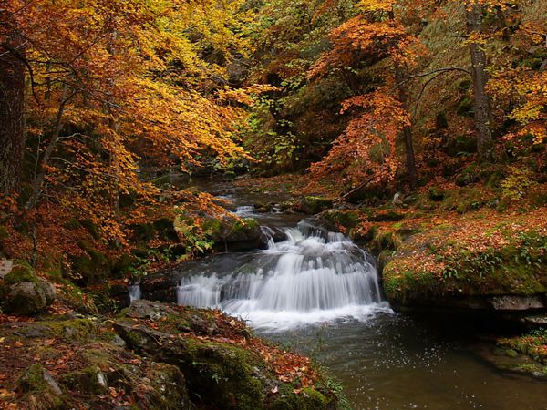 Arroyo Puente Ra